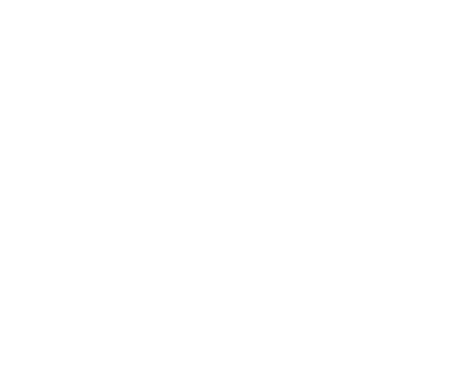 MISTER CA